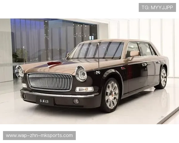 比赛刚开始就红旗,车迷懵了 比赛刚开始就红旗,车迷懵了