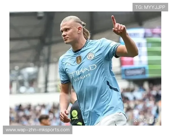 纽卡斯尔推进哈兰德级补强:开启豪门崛起的新篇章 纽卡斯尔推进哈兰德级补强:开启豪门崛起的新篇章