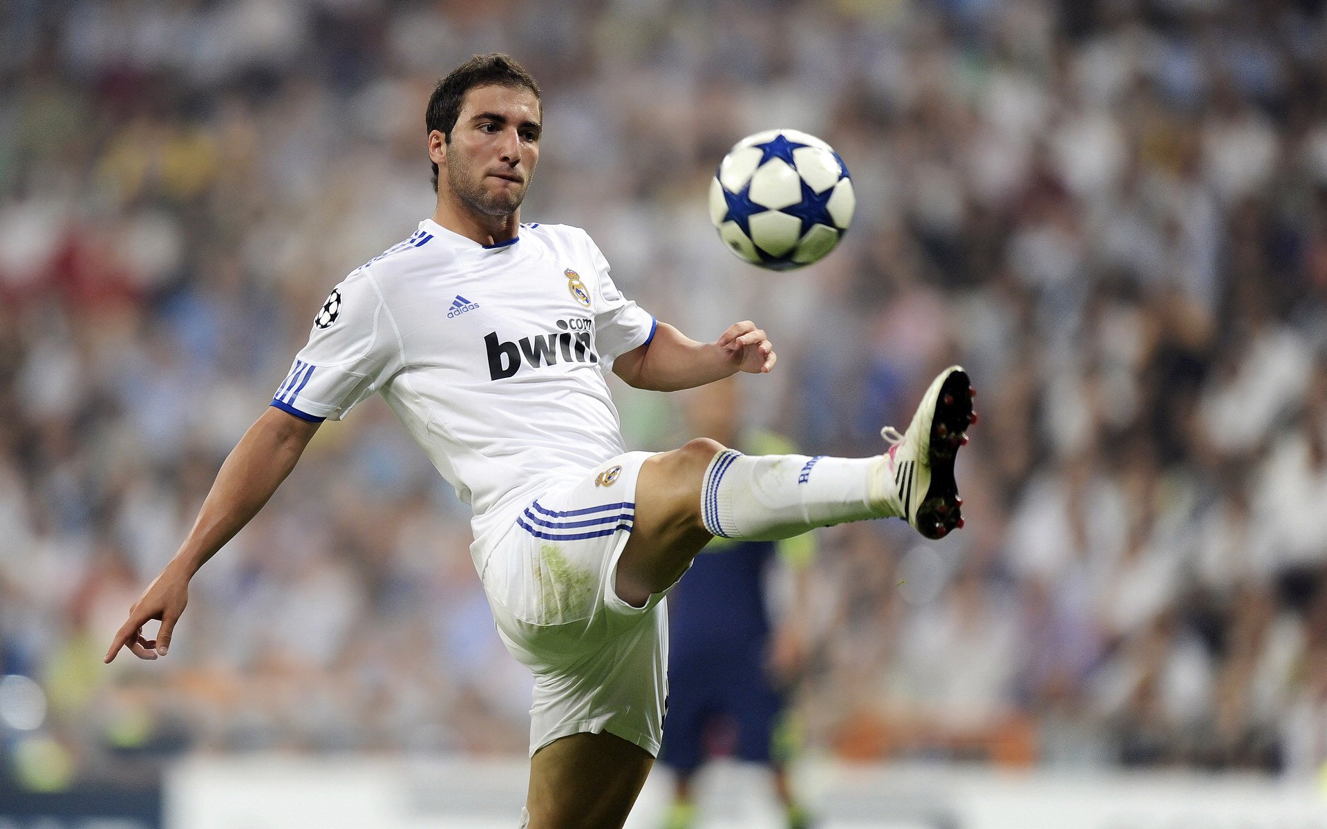 凯尔特人投篮教练逐个指导球员出手节奏，凯尔特人教练是谁