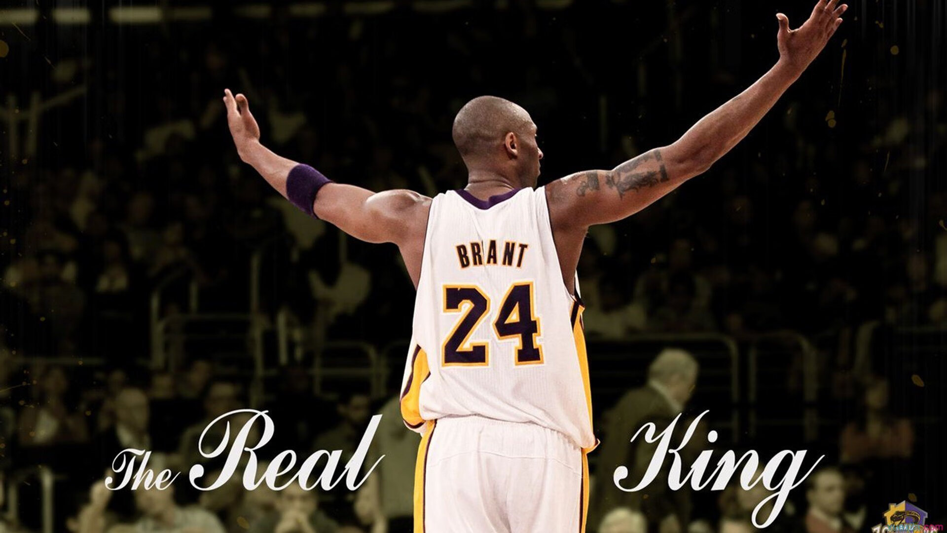 决赛瞬爆泳姿 切拉苏奥洛冲破极限